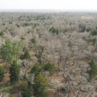 10.25 Acres in Milam County images 5