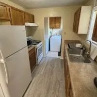 50.5 Acres with a Camp House in Sunflower County in Shaw MS images 4