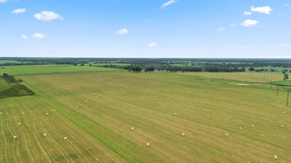 TBD FM 2689 Gorman Texas 76454 featured image