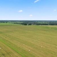 TBD FM 2689 Gorman Texas 76454