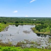 TBD FM 2689 Gorman Texas 76454 images 5