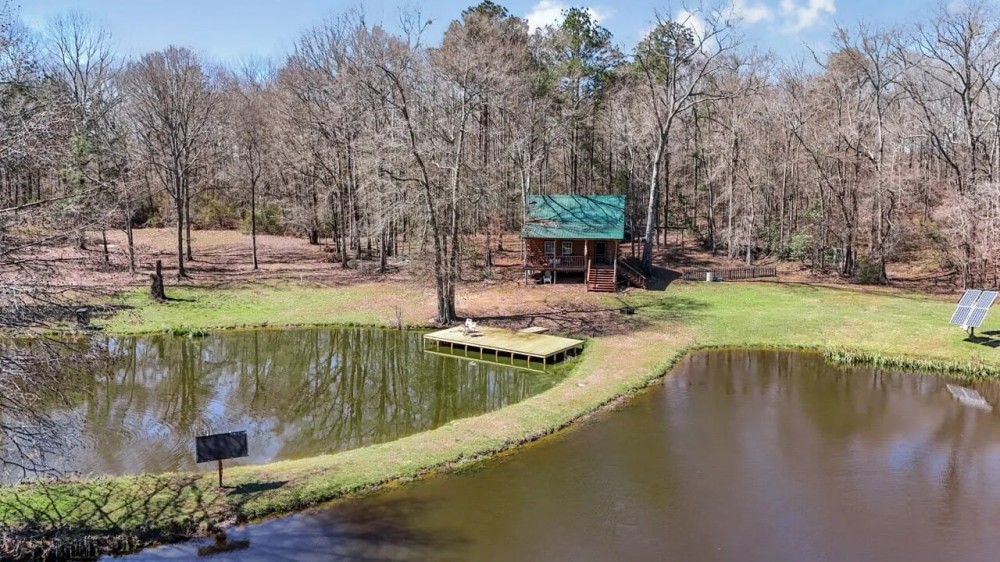 Off Grid Cabin on 36 Acres featured image