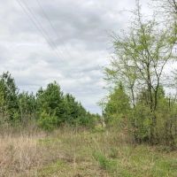 235 Acres Maya 1004 Tract 11 images 3