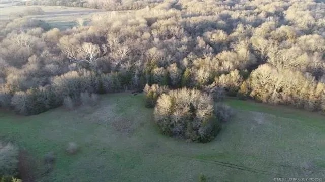 60 Acres of Hunting Haven in Durant Oklahoma featured image