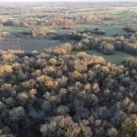 60 Acres of Hunting Haven in Durant Oklahoma images 2