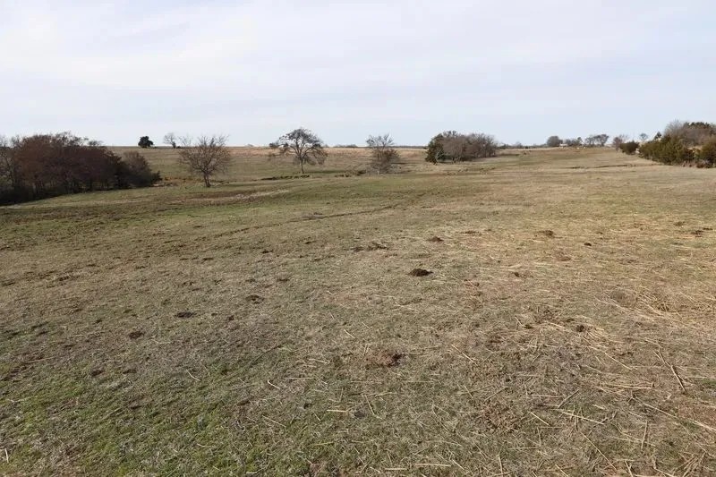 Stuart Rolling Hills Ranch 236 Acres featured image