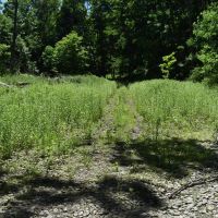 Fabulous Farrington Hollow images 4