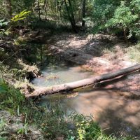 95 - Wooded Acres in Taliaferro County Georgia images 4