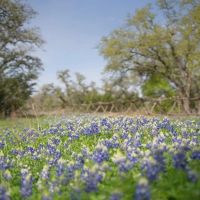 Hayn Ranch images 3