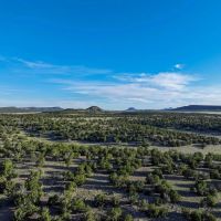 X Spear Elk Cattle Ranch images 2