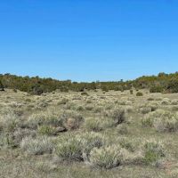 X Spear Elk Cattle Ranch images 4