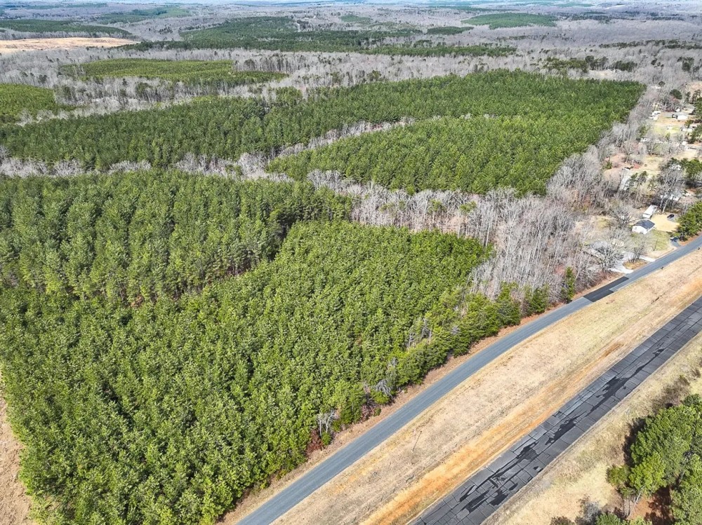 58.75 acres of Timberland For Sale in Buckingham County VA featured image
