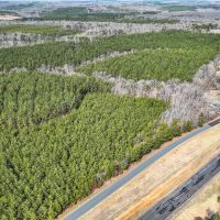 58.75 acres of Timberland For Sale in Buckingham County VA