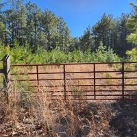 58.75 acres of Timberland For Sale in Buckingham County VA images 2