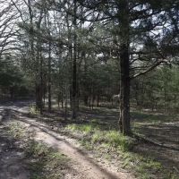 Deep Branch Creek 735