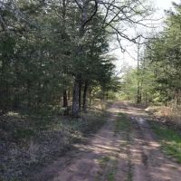 Deep Branch Creek 735 images 3