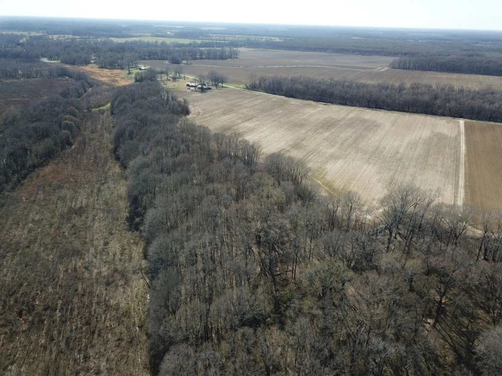 LA - West Carroll 61 acres - featured image