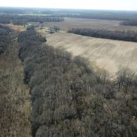 LA - West Carroll 61 acres -