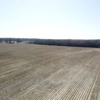 LA - West Carroll 61 acres - images 2