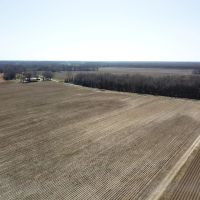 LA - West Carroll 61 acres - images 3