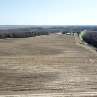 LA - West Carroll 61 acres - images 5