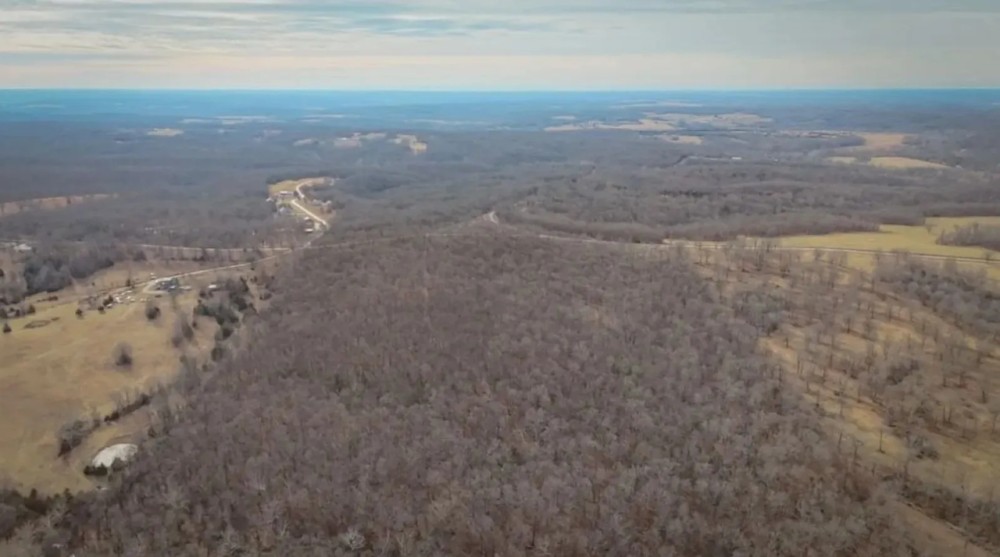 Prime Hunting Mature Timber And Homestead Potential featured image