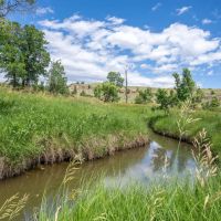 Elkhorn Creek Ranch- Hulett Wyoming images 2