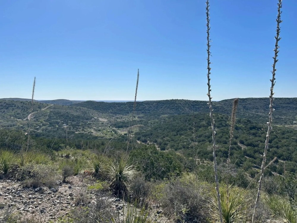 Rzeka Ranch featured image