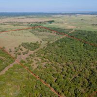 Clay County images 4
