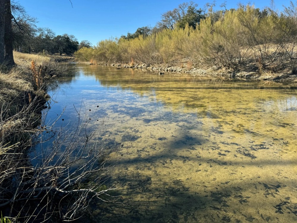 Lot 35 Pack Saddle Dr Fiedler Rd Harper TX 78631 featured image