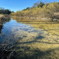 Lot 35 Pack Saddle Dr Fiedler Rd Harper TX 78631