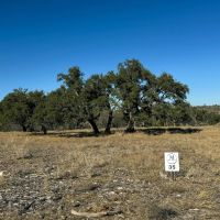 Lot 35 Pack Saddle Dr Fiedler Rd Harper TX 78631 images 4
