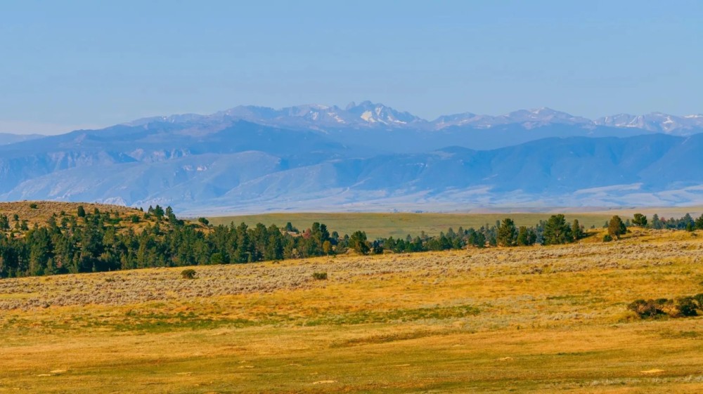 40 Acres Bordering 1600 Ac. Of BLM featured image