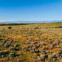40 Acres Bordering 1600 Ac. Of BLM images 2