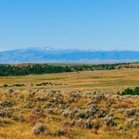 40 Acres Bordering 1600 Ac. Of BLM images 3