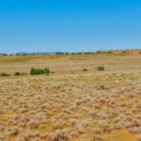 40 Acres Bordering 1600 Ac. Of BLM images 5