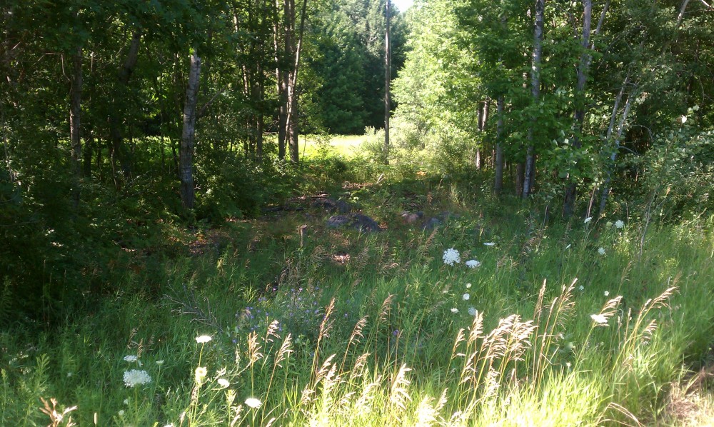 Picture ranch  featured image