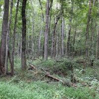CAN03 images 5