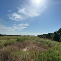 63 - Acres Callahan County