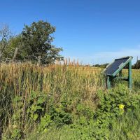 63 - Acres Callahan County images 4