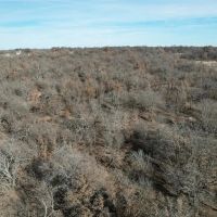 New Listing 11 - Acres Jones County images 5