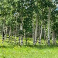 Cabin Hollow Ranch images 5