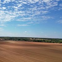 Farm For Sale 585 Acres Bray Stephens County Oklahoma. images 3