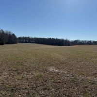 81.5 Acres in Pontotoc County MS