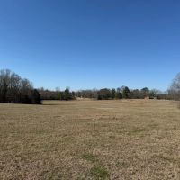 81.5 Acres in Pontotoc County MS images 2