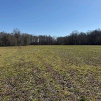 81.5 Acres in Pontotoc County MS images 3