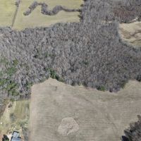 81.5 Acres in Pontotoc County MS images 5