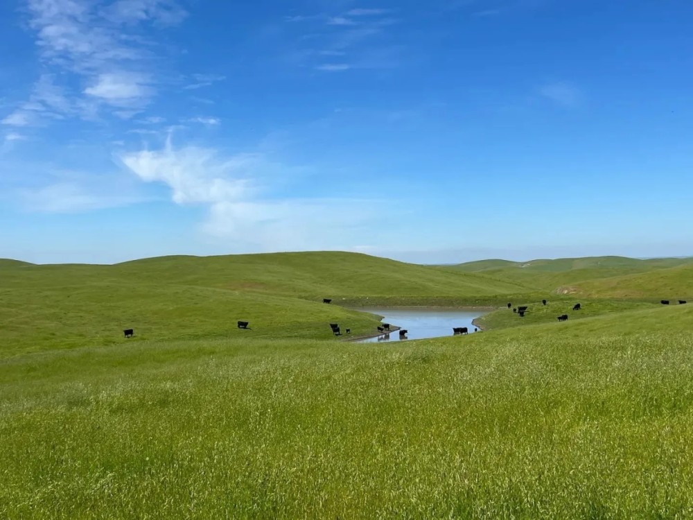 Redington Ranch featured image
