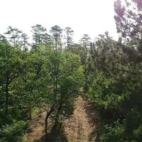 3168 FM 362 images 3