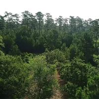 3168 FM 362 images 5